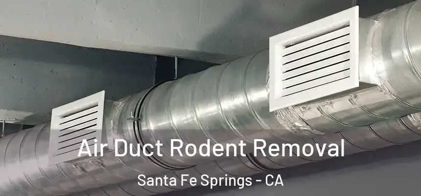 Air Duct Rodent Removal Santa Fe Springs - CA