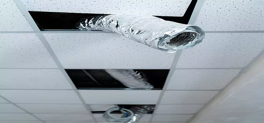 Affordable HVAC Sanitizing After Pest Removal in Santa Fe Springs