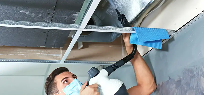 Our Air Duct Rodent Removal Services in Santa Fe Springs, CA