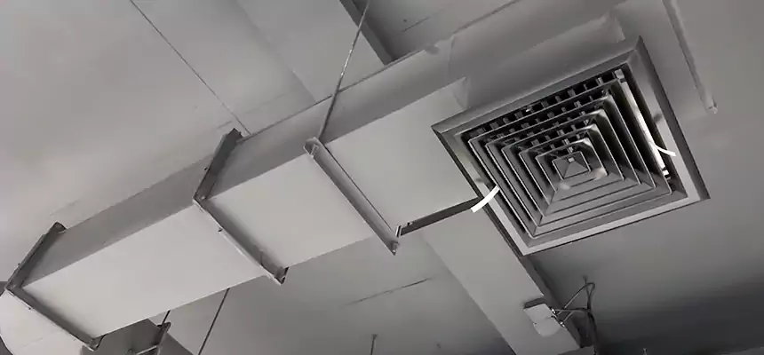 Our Pest Removal From Ducts Services in Santa Fe Springs, CA