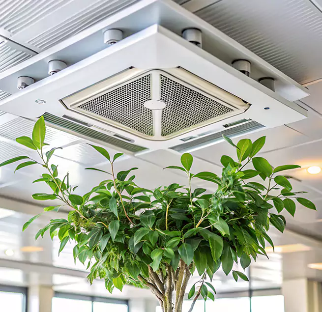 Why Homeowners & Businesses Trust Us in Santa Fe Springs, CA?